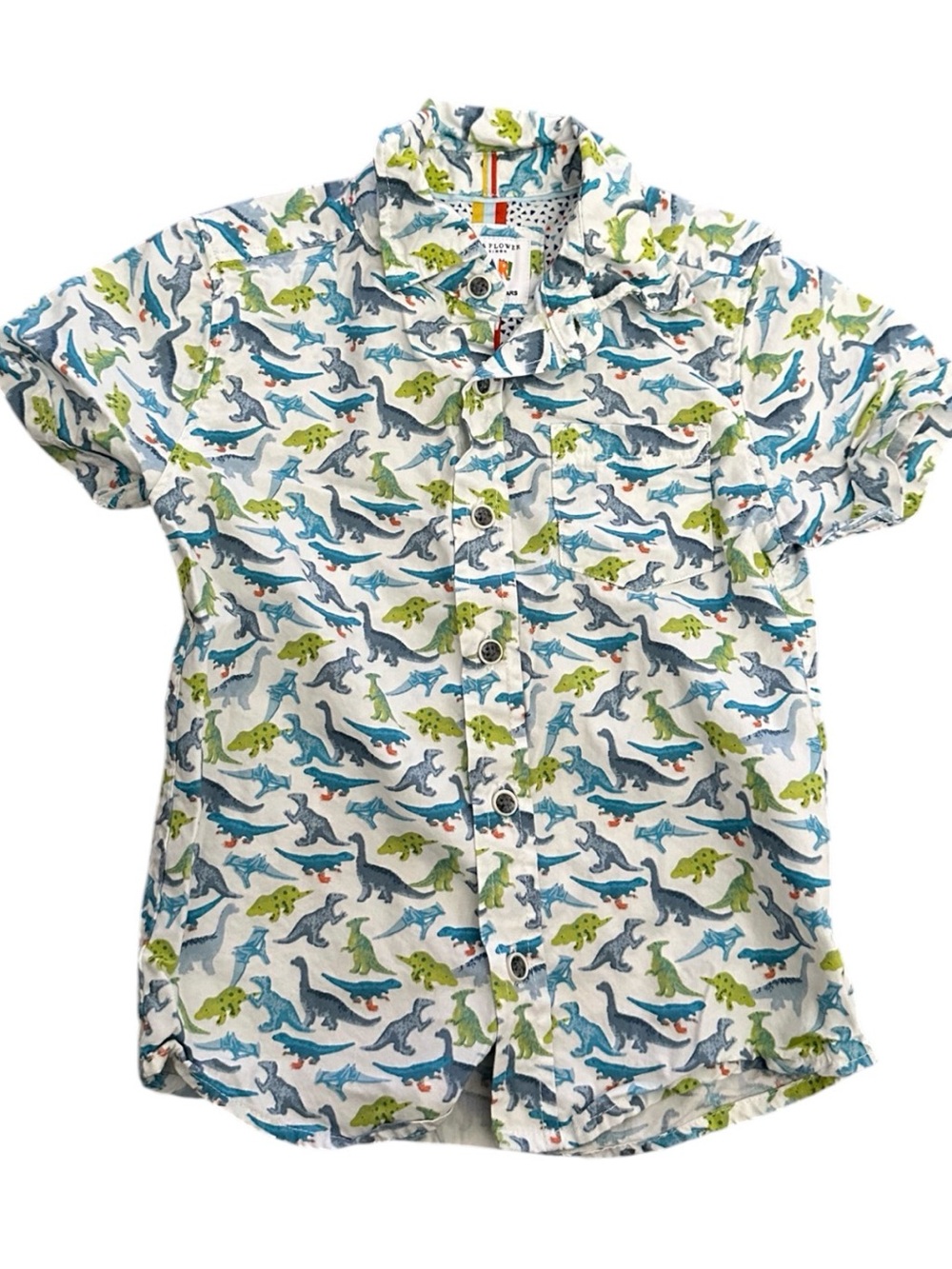 Dino Print Button-Up Shirt 2T
